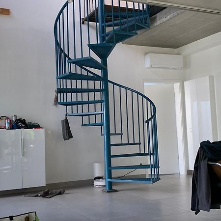A Cozy Room In A Modern House بوتسدام المظهر الخارجي الصورة